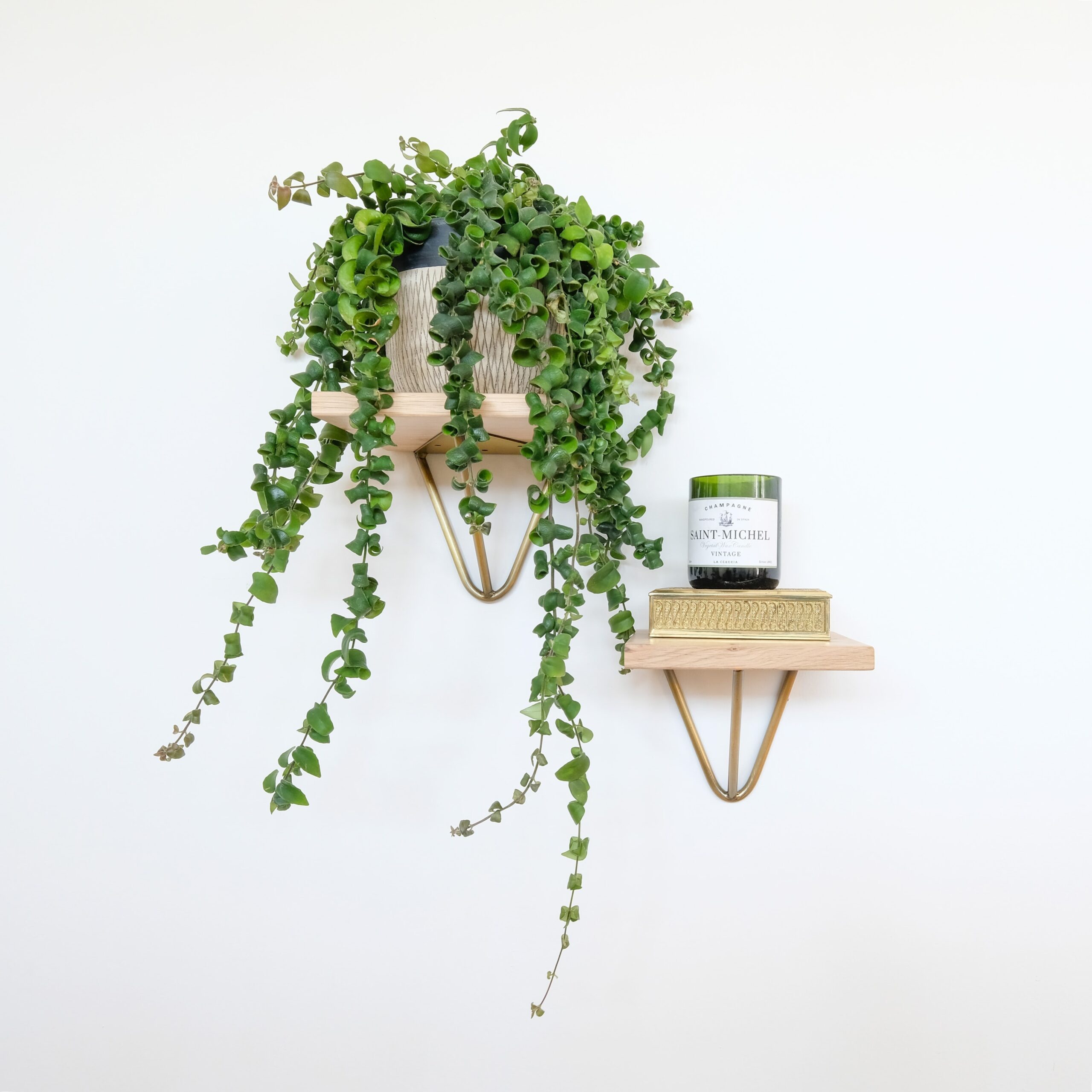 natural-goods-berlin-oWpOOkrfNWQ-unsplash(1)